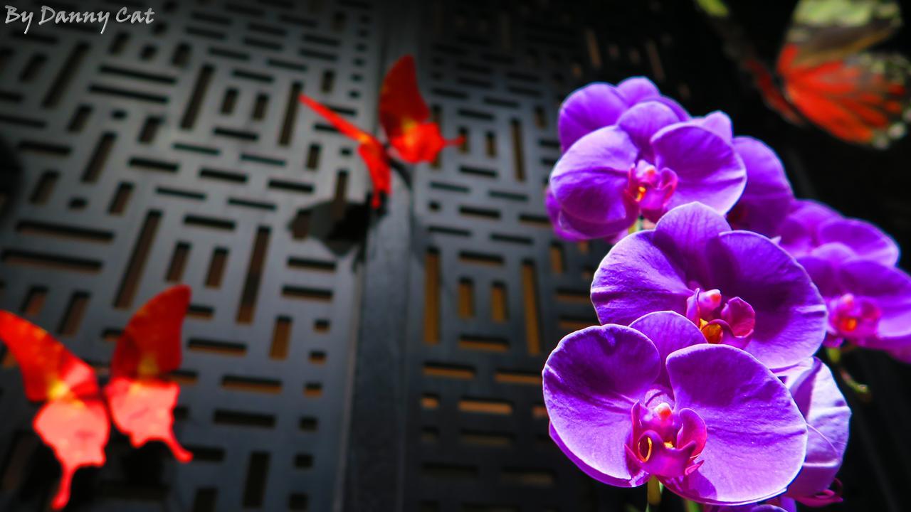 North Sea Hotel Taichung Exterior photo